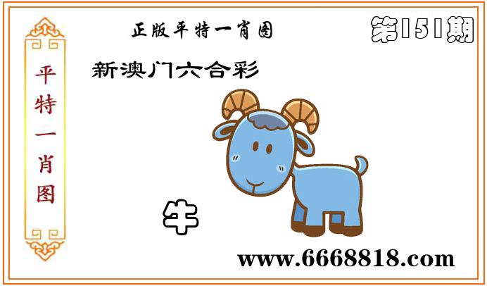 正版平特一肖