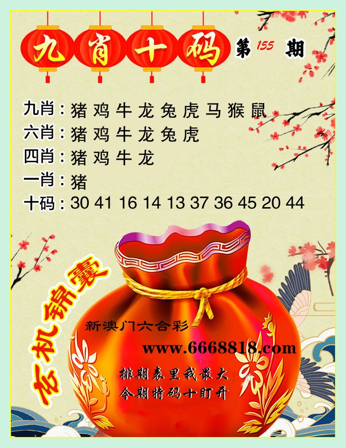 九肖十码